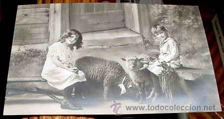Cartes Postales: ANTIGUA POSTAL ANIMALES - DOS NI&Ntilde;OS CON DOS OVEJITAS - NO CIRCULADA - ESCRITA.