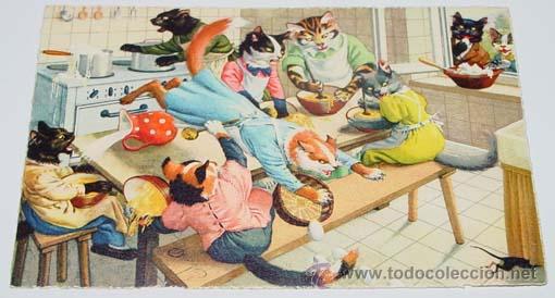 Cartes Postales: ANTIGUA POSTAL DE ANIMALES - GATOS EN LA COCINA - NO CIRCULADA - ESCRITA - ED. MKZ - N&ordm; 4676.