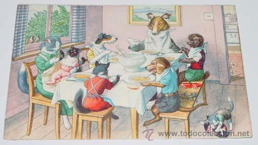 Postcards: ANTIGUA POSTAL DE ANIMALES - PERROS Y GATOS COMIENDO JUNTOS - NO CIRCULADA - ESCRITA - ED. MKZ - N&ordm;
