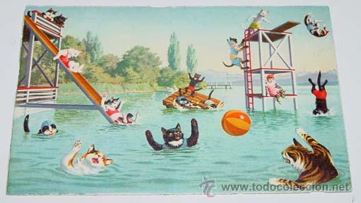 Cartes Postales: ANTIGUA POSTAL DE ANIMALES - GATOS JUGANDO EN EL AGUA - NO CIRCULADA - ESCRITA - ED. MKZ - N&ordm; 4695.