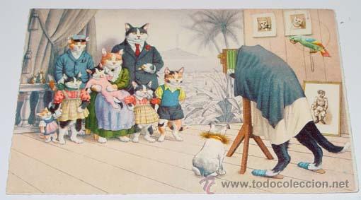 Postales: ANTIGUA POSTAL DE ANIMALES - RETRATO FAMILILAR - NO CIRCULADA - ESCRITA - ED. MKZ - N&ordm; 4724.