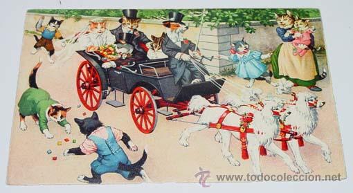 Cartes Postales: ANTIGUA POSTAL DE ANIMALES - BODA DE GATOS - NO CIRCULADA - ESCRITA - ED. MKZ - N&ordm; 4701.