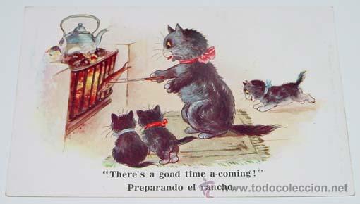 Cartes Postales: ANTIGUA POSTAL ILUSTRADA GATO PREPARANDO EL RANCHO -  NO CIRCULADA - ESCRITA.