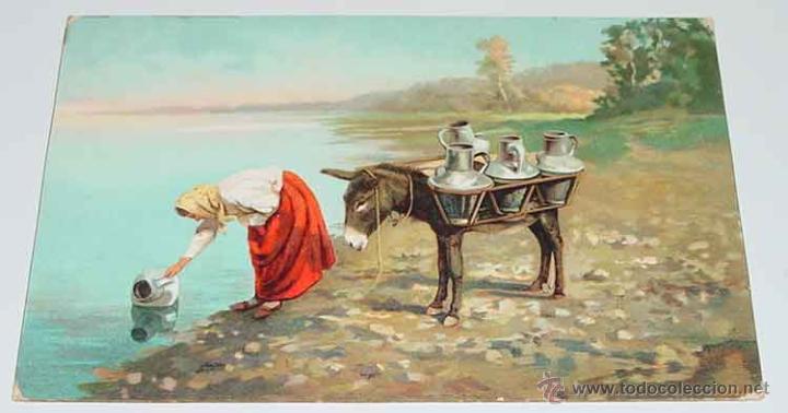 Cartes Postales: ANTIGUA POSTAL DE BURRO TRANSPORTANDO AGUA - NO CIRCULADA - ED. STENGEL.