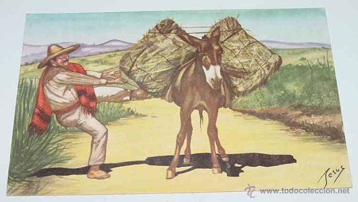 Postkarten: ANTIGUA POSTAL DE BURRO - ARRIERO TIPICO - NO CIRCULADA.