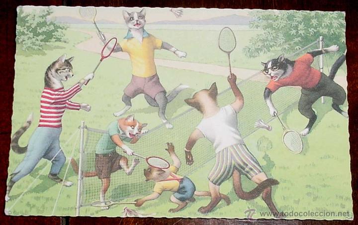 Postkarten: ANTIGUA POSTAL DE GATOS JUGANDO AL BADMINTON - NO CIRCULADA.
