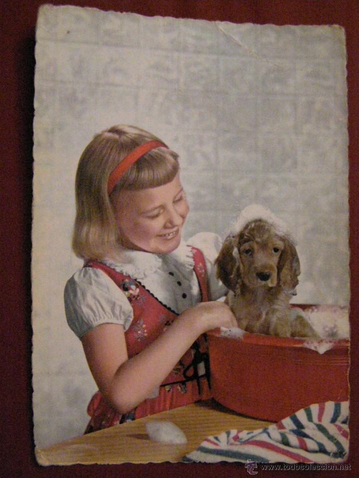 Postales: Animales - Compa&ntilde;ia - Ni&ntilde;a - Perro - Cocker - - Foto 1