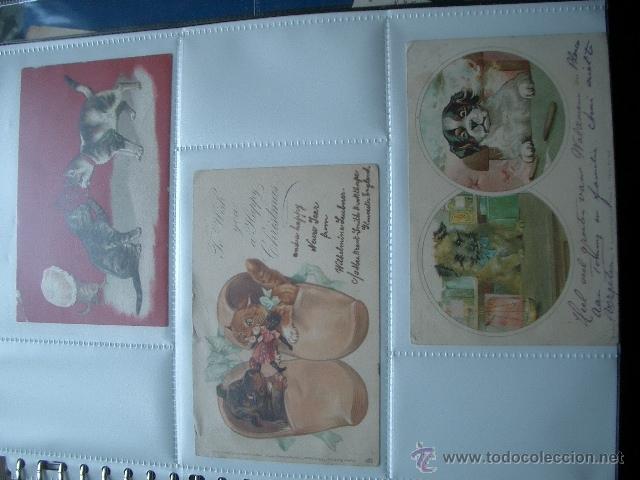 Postkarten: 3 postales modernistas de gatos y perros