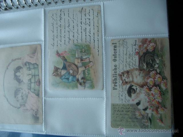 Postales: 3 postales modernistas de gatos gofradas