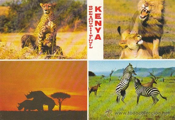 Postales: Fauna salvaje de Kenia - Foto 1
