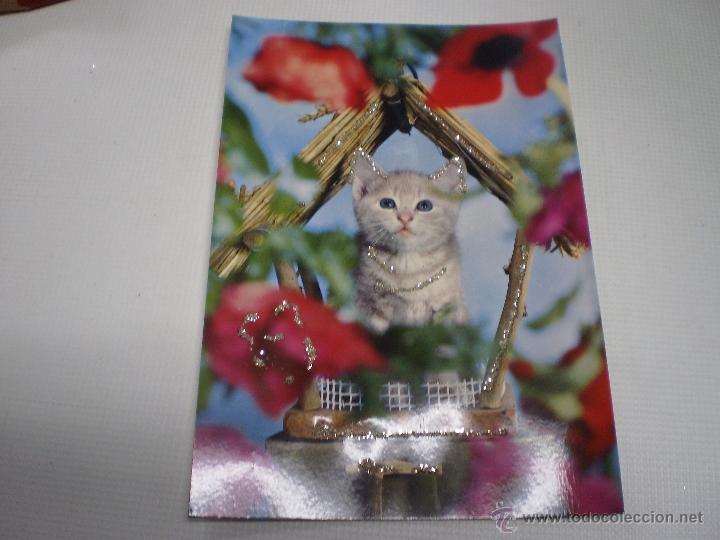 Postcards: POSTAL -GATO-VINTAGE-C Y Z -6851-CON PURPURINA-SIN CIRCULAR -50488.