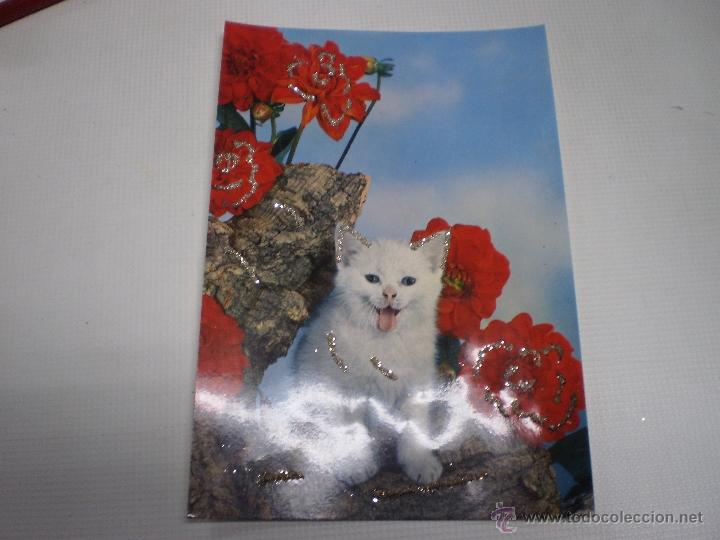 Postcards: POSTAL -GATO-VINTAGE-C Y Z -6851-CON PURPURINA-SIN CIRCULAR -50488.