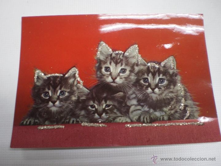 Postcards: POSTAL -GATOS-VINTAGE-C Y Z -6606-CON PURPURINA-SIN CIRCULAR -50488.