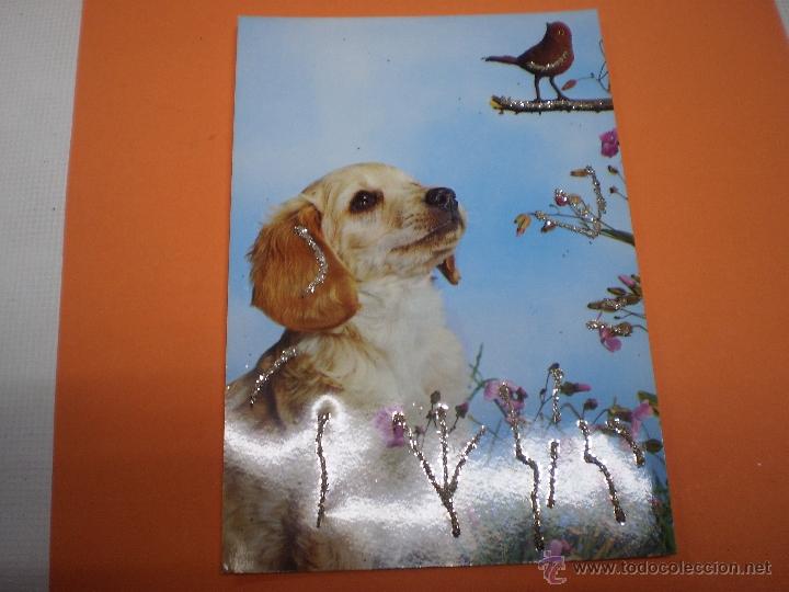 Postcards: POSTAL -PERRO -C Y Z -7013 -CON  PURPURINA-SIN CIRCULAR-50488.