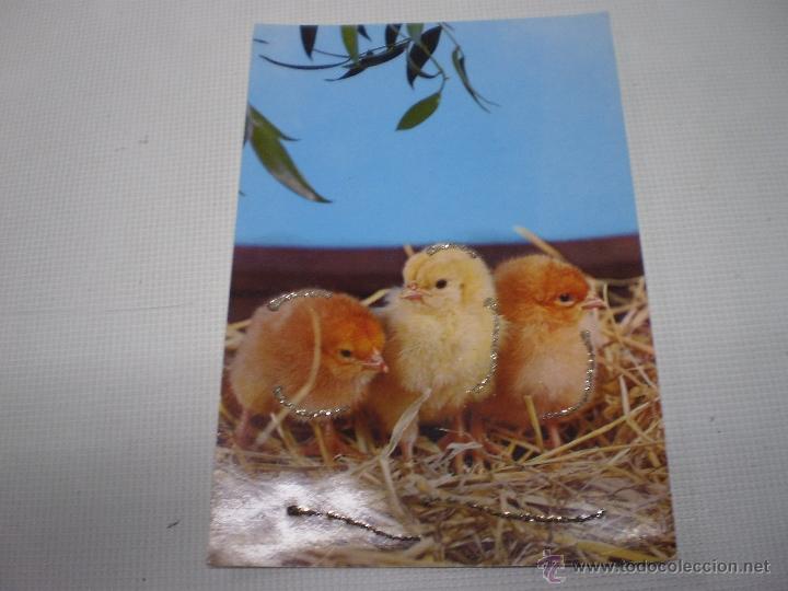 Postcards: POSTAL -POLLITOS-VINTAGE-C Y Z -6853-CON PURPURINA-SIN CIRCULAR -50488.