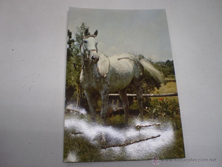 Postcards: POSTAL -CABALLO- VINTAGE -CON PURPURINA-1910 105.