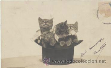 Postales: Postal Francesa. Anterior a 1905. - Foto 1