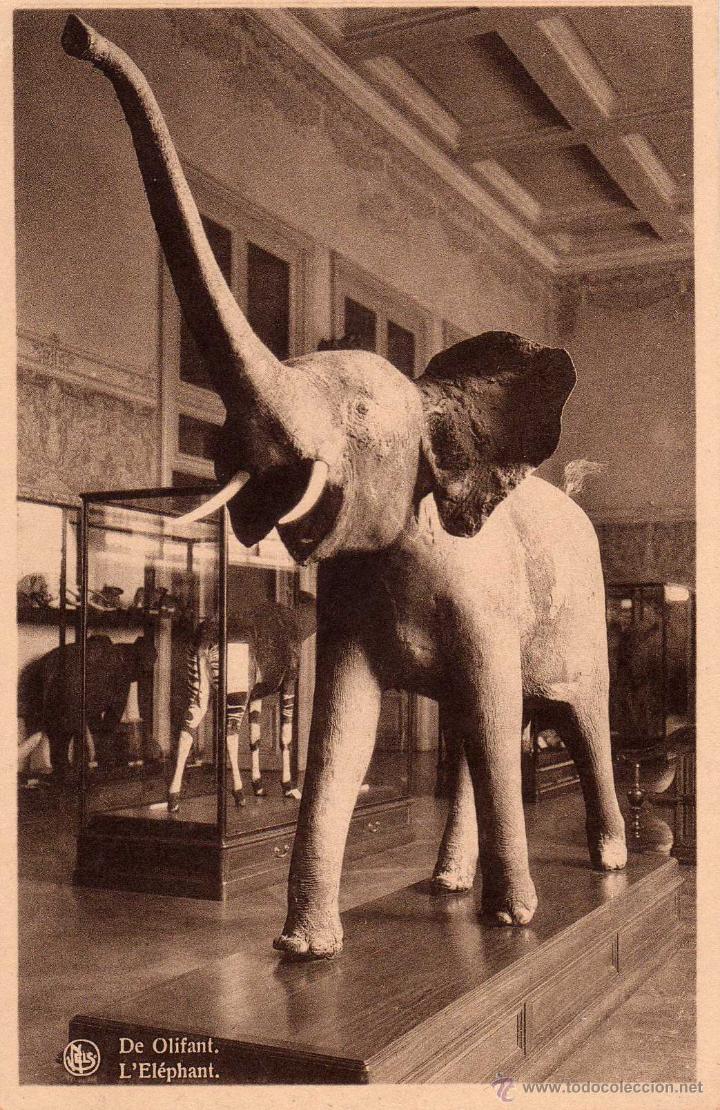 Postais: Tervuren. Elefante.
