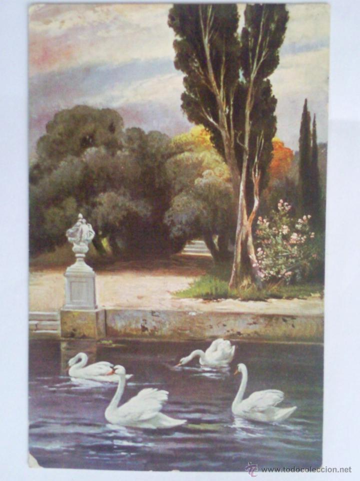 Postais: ANTIGUA POSTAL, ESTANQUE CON CISNES, SELLADA 1908