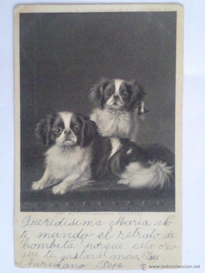 Postais: ANTUGUA POSTAL, DOS PERRITOS, SELLADA