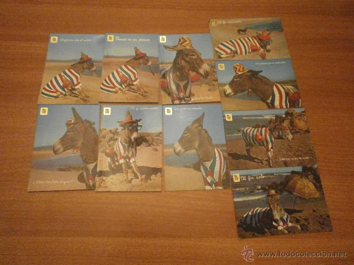 Postais: 10  POSTALES ANIMALES COMICOS  SIN CIRCULAR