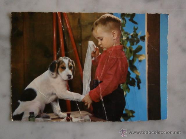Postales: GRACIOSA POSTAL NI&Ntilde;O ENFERMERO Y PERRO. C.Y Z. 6577