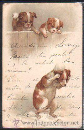 Postais: TARJETA POSTAL DE ANIMALES. PERRITOS JUGANDO EN LA NIEVE.