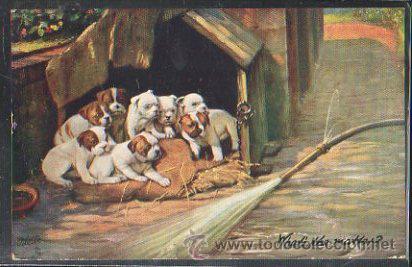 Postais: TARJETA POSTAL DE ANIMALES. WHAT'S THE MATTER?. OILETTE. 9931