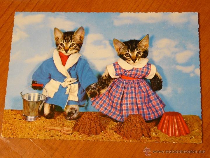 Postais: Postal Gatos vestidos a&ntilde;os 70
