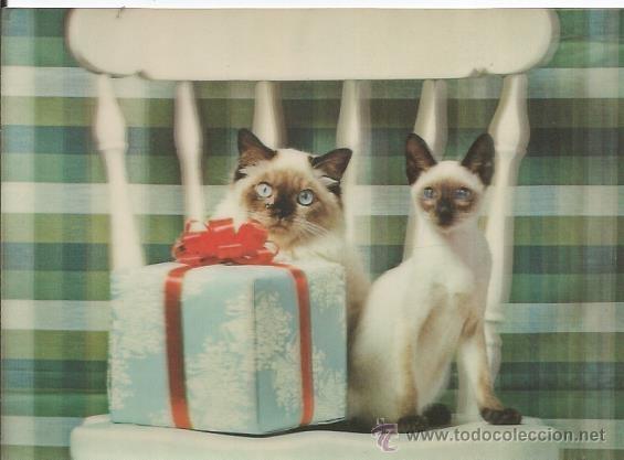 Postales: :::: PR559 - POSTAL ANIMADA - GATITOS - Foto 1