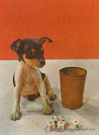 Postales: Perro jugando a los dados - Foto 1