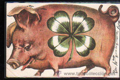 Postales: TARJETA POSTAL DE CERDO. - Foto 1