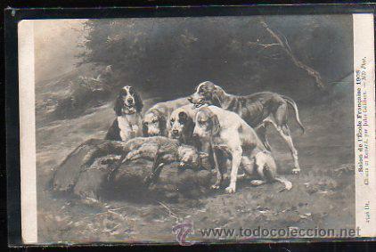 Postales: TARJETA POSTAL DE PERROS CON ZORRO. - Foto 1