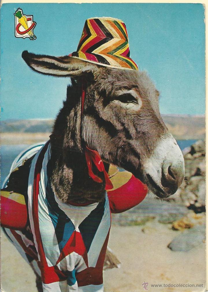 Postales: TARJETA POSTAL DE EL BURRO DE 1962  SIN  CIRCULAR
