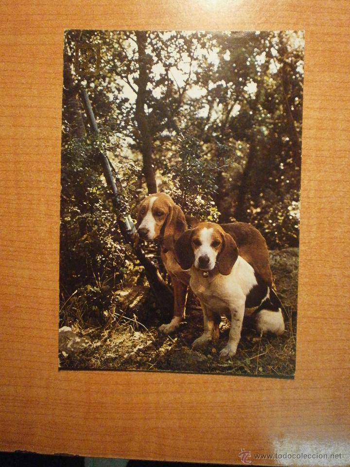 Postais: POSTAL PERROS SIN CIRCULAR