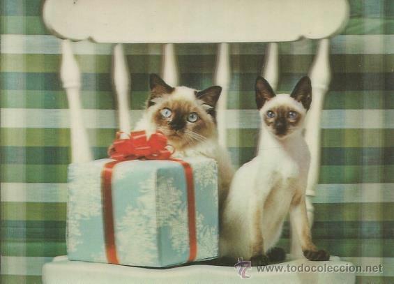 Postales: :::: A473 - POSTAL ANIMADA - GATITOS - Foto 1