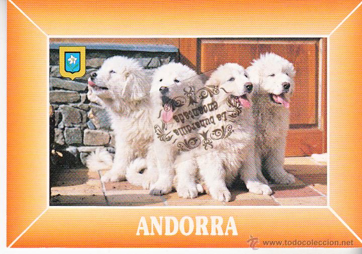 Postales: POSTAL - ANDORRA - CIRCULADA CON SELLO - Foto 1