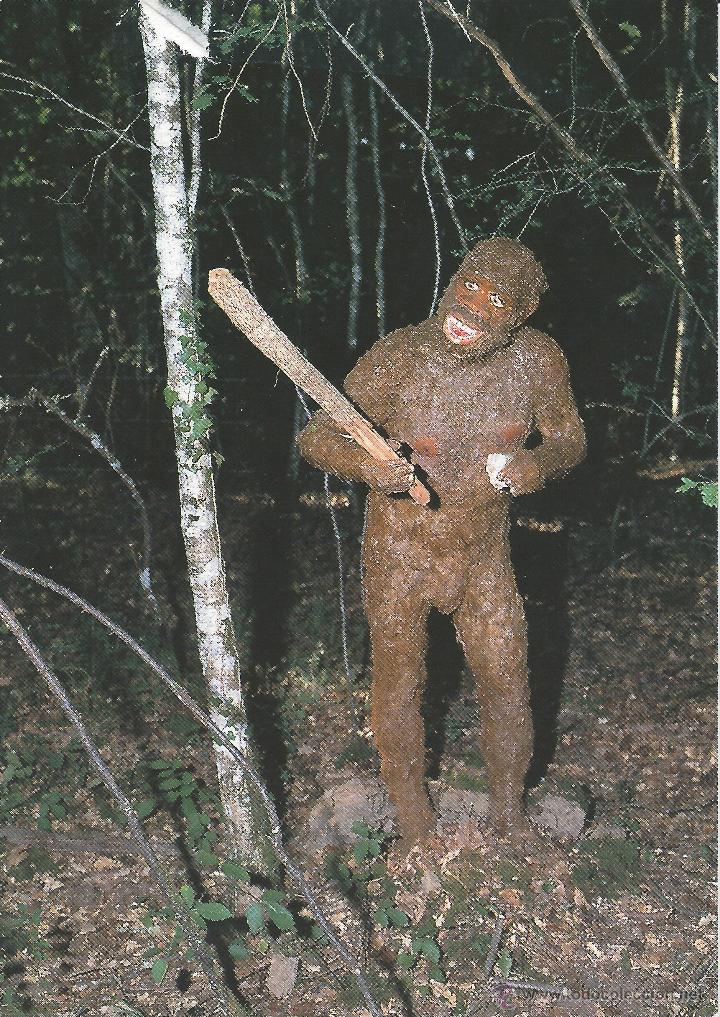 Postcards: parc prehistorique de fontirou castelet