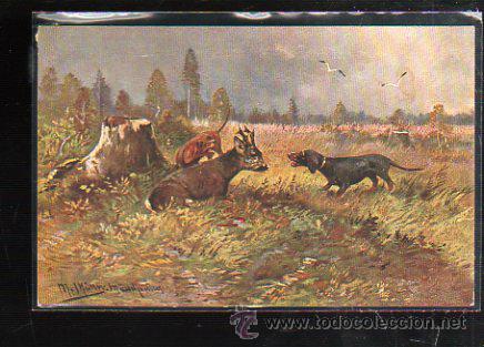 Postcards: TARJETA POSTAL DE ANIMALES - EGEMES. SERIE 83.