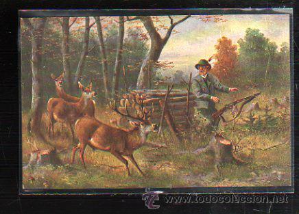 Postcards: TARJETA POSTAL DE ANIMALES - EGEMES. SERIE 24. CAZA