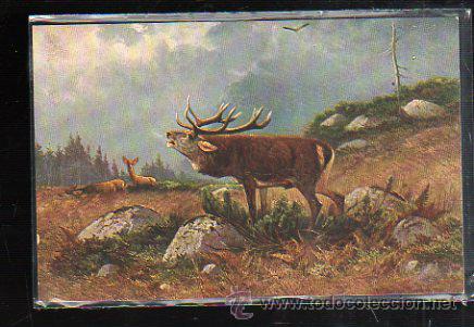 Postcards: TARJETA POSTAL DE ANIMALES - EGEMES. SERIE 9. N&ordm; 4.