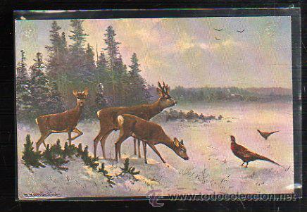 Postcards: TARJETA POSTAL DE ANIMALES - EGEMES. SERIE 9. N&ordm; 5.