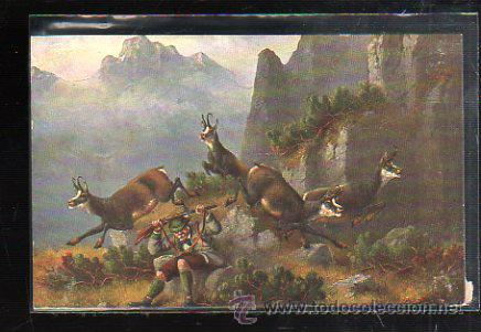 Postcards: TARJETA POSTAL DE ANIMALES - EGEMES. SERIE 24.