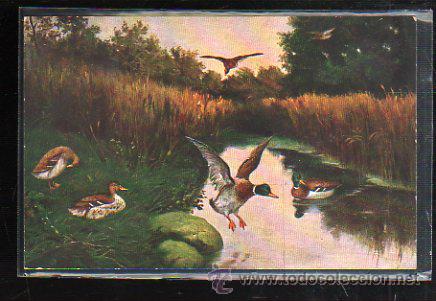 Postcards: TARJETA POSTAL DE ANIMALES - EGEMES. SERIE 68.