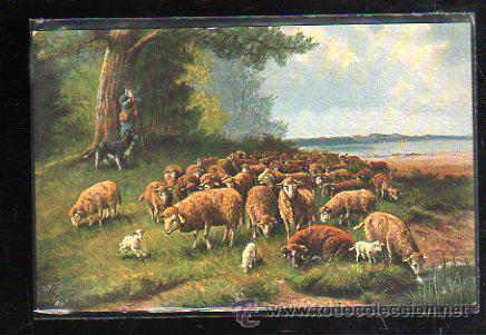 Postcards: TARJETA POSTAL DE ANIMALES - EGEMES. SERIE 28. N&ordm; 3.
