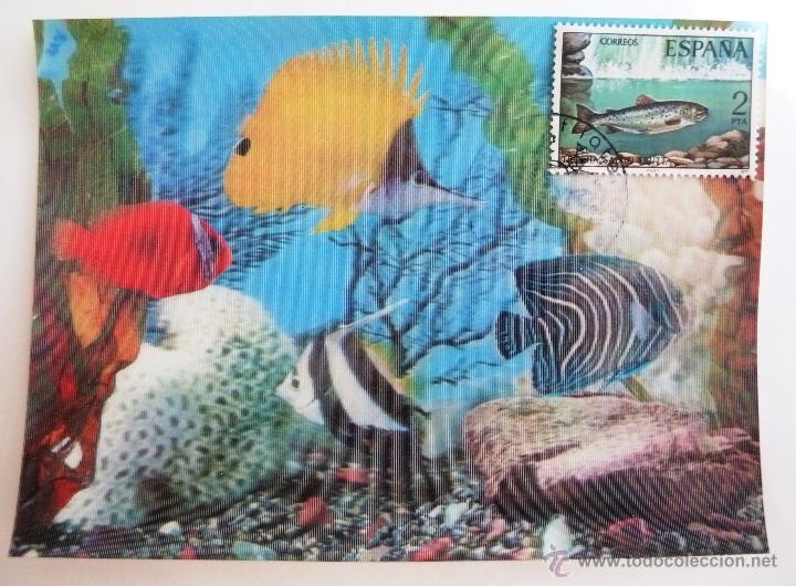 Postais: TARJETA POSTAL 3D. PECES. MATASELLADA.