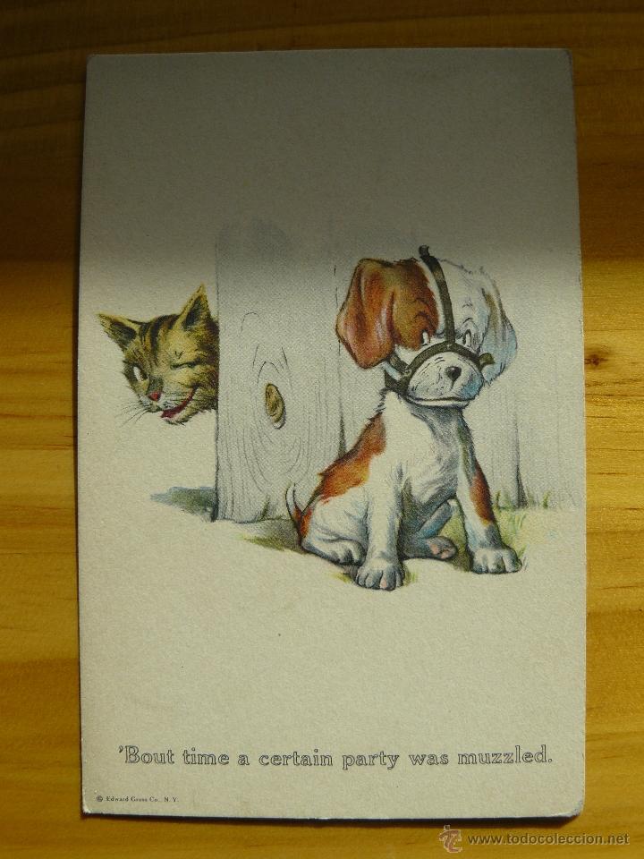 Postais: POSTAL USA EDWARD GROSS CO. NY SERIE COMIC N&ordm; 62 PERRO Y GATO SIN CIRCULAR
