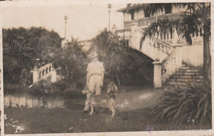 Postales: N&ordm; 15834 FOTO POSTAL SIN DATAR PERROS
