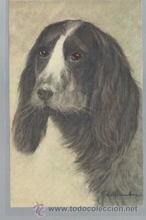 Postales: TARJETA POSTAL DE ANIMALES, PERRO, 66 COCKER SPANIEL - Foto 1