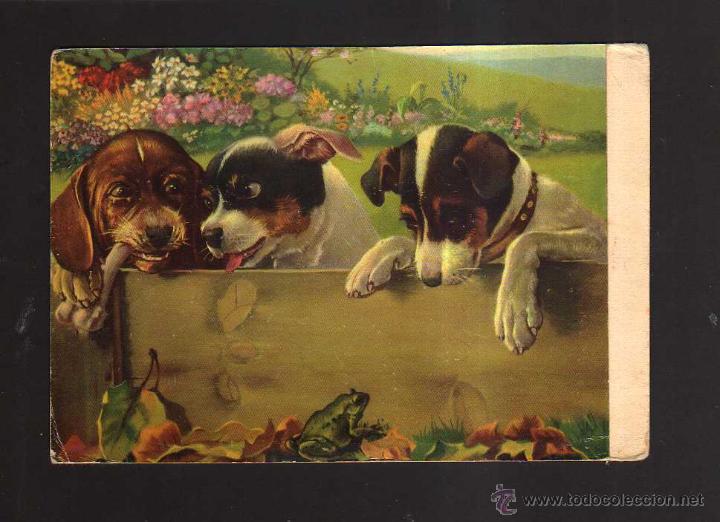 Postais: Postal perros. Circulada